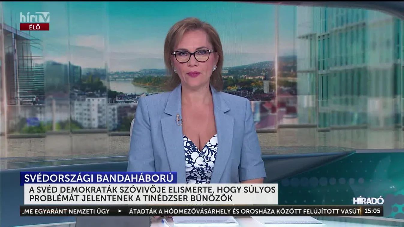 A SVÉD DEMOKRATÁK SZÓVIVŐJE ELISMERTE, HOGY SÚLYOS PROBLÉMÁT JELENTENEK A TINÉDZSER BŰNÖZŐK