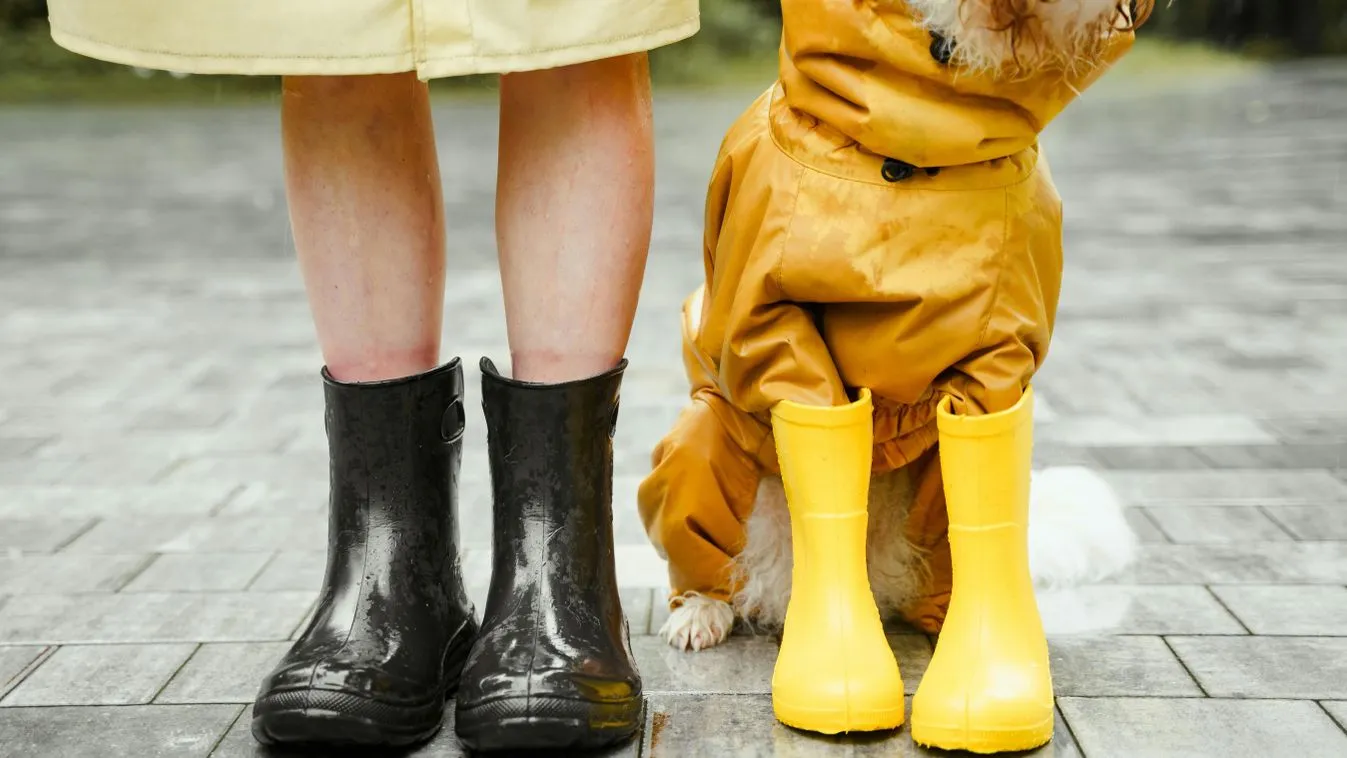 Csendes eső és záporok áztatják az országot szerdán