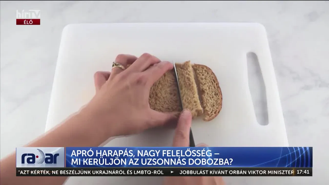 Radar - APRÓ HARAPÁS, NAGY FELELŐSSÉG – MI KERÜLJÖN AZ UZSONNÁS DOBOZBA?