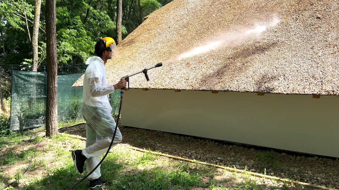 Turisztikai előnnyé vált a hagyományos nádtető Európa-szerte