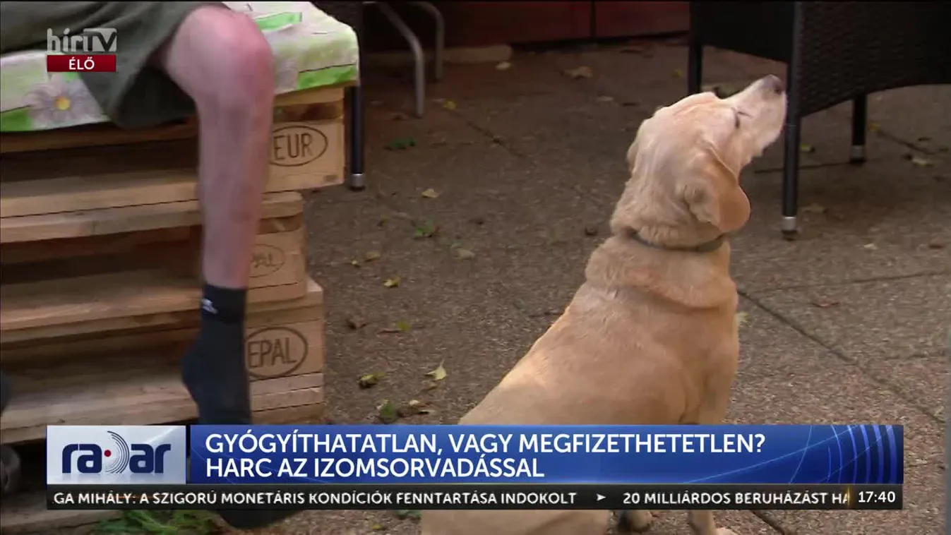 Radar - GYÓGYÍTHATATLAN, VAGY MEGFIZETHETETLEN? HARC AZ IZOMSORVADÁSSAL