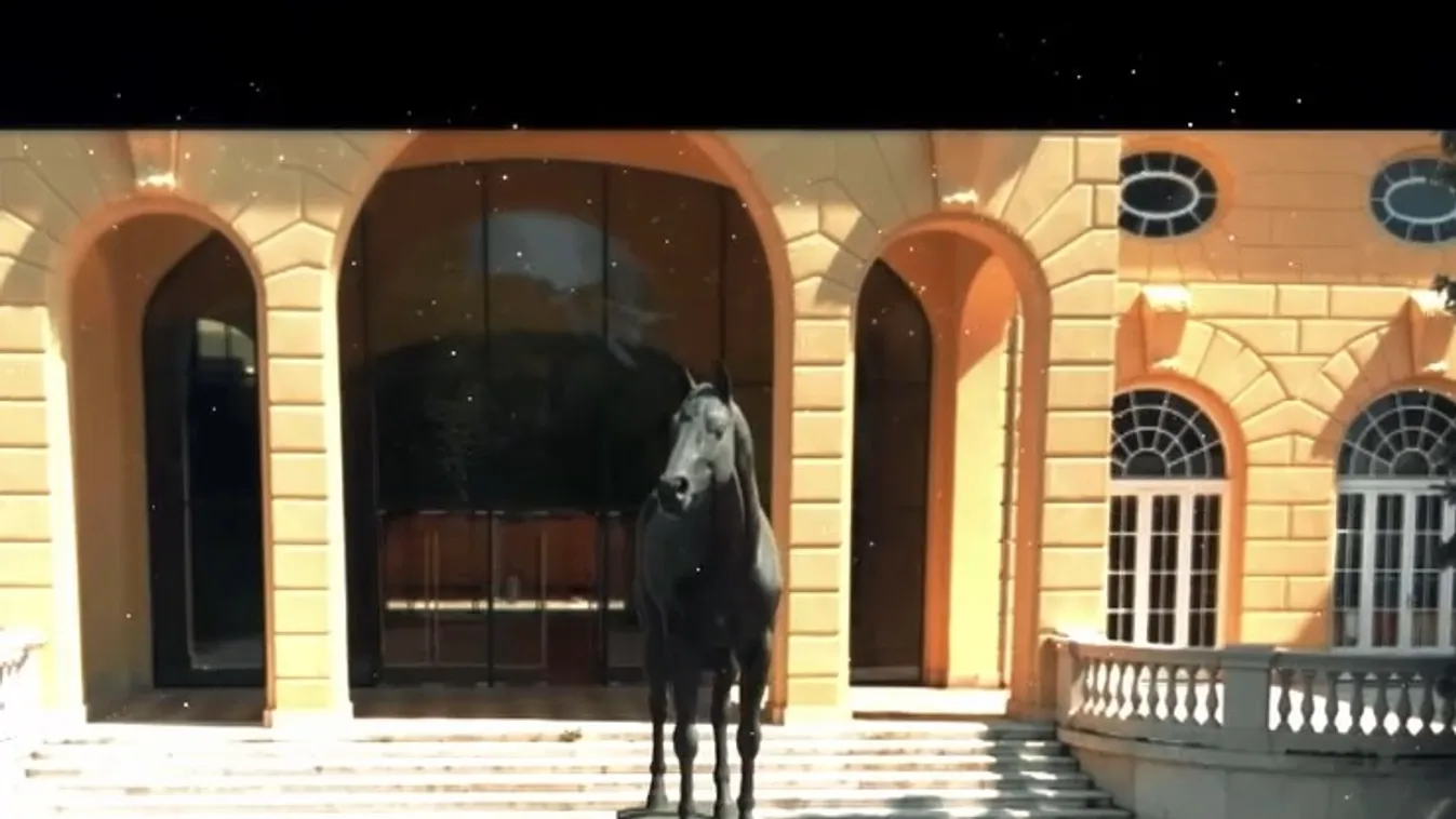 Radar – Könyvbemutatót tartott a 100 éves a Kincsem Park + videó