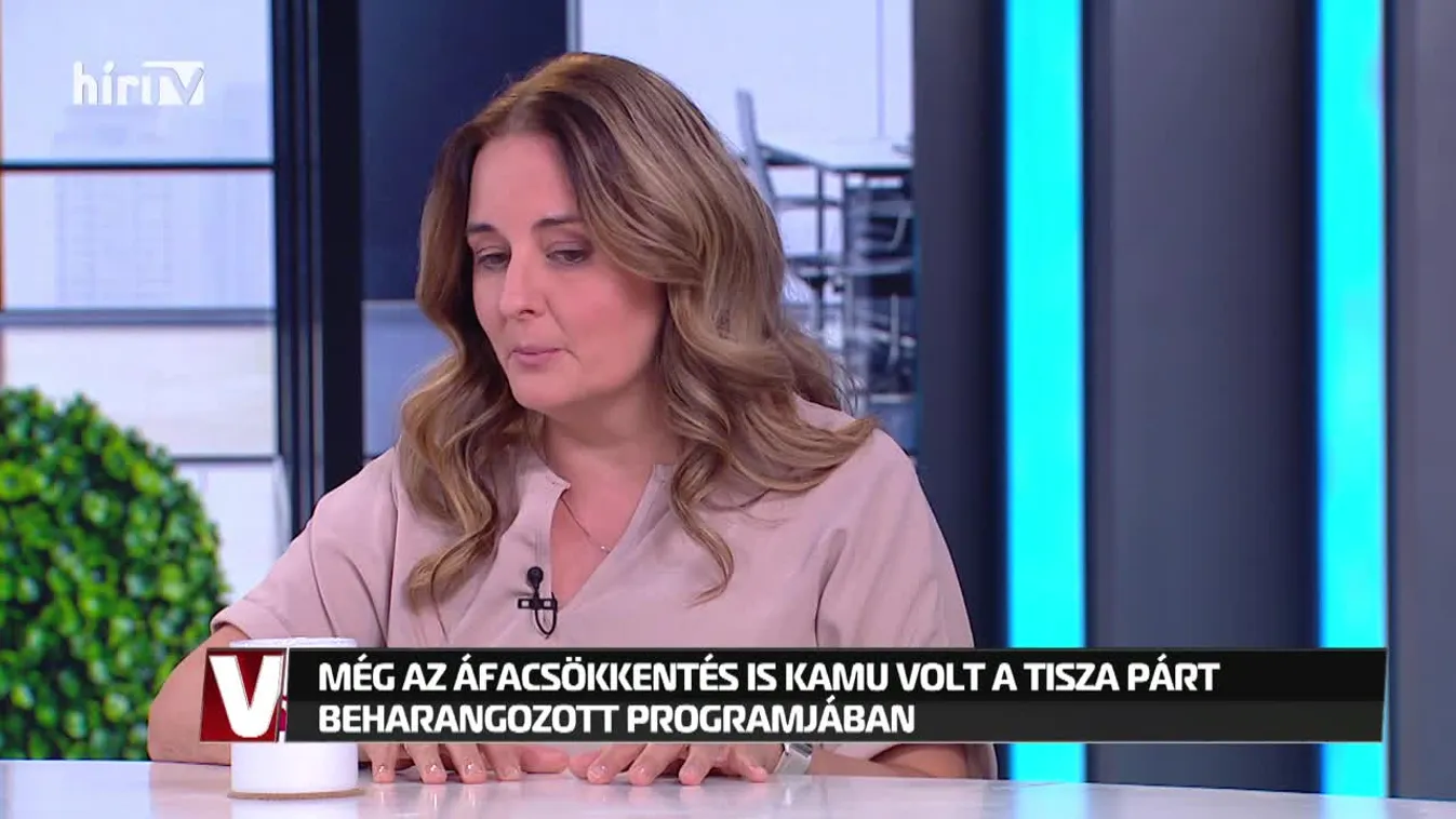 Vezércikk – 4,5 milliárd forintot leemeltek Budapest számlájáról