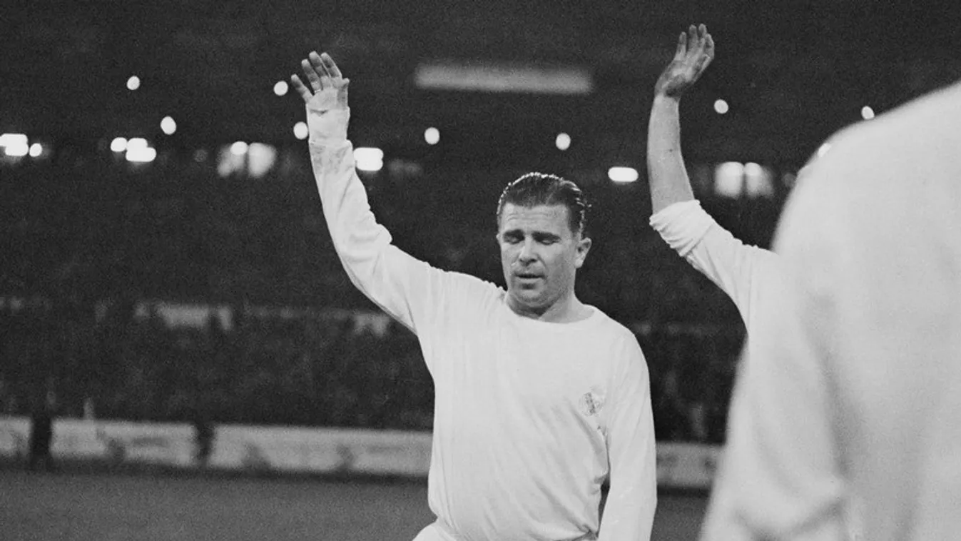 Újabb Puskásról szóló irodalmi mű született, ezúttal Dániában