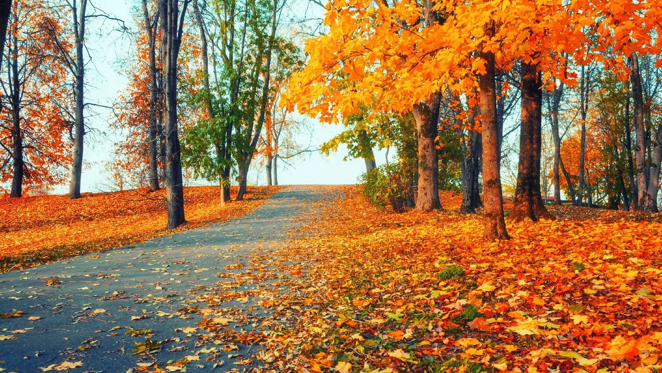Nem ma jön az ősz: még egy napig várnunk kell a szezonváltásra