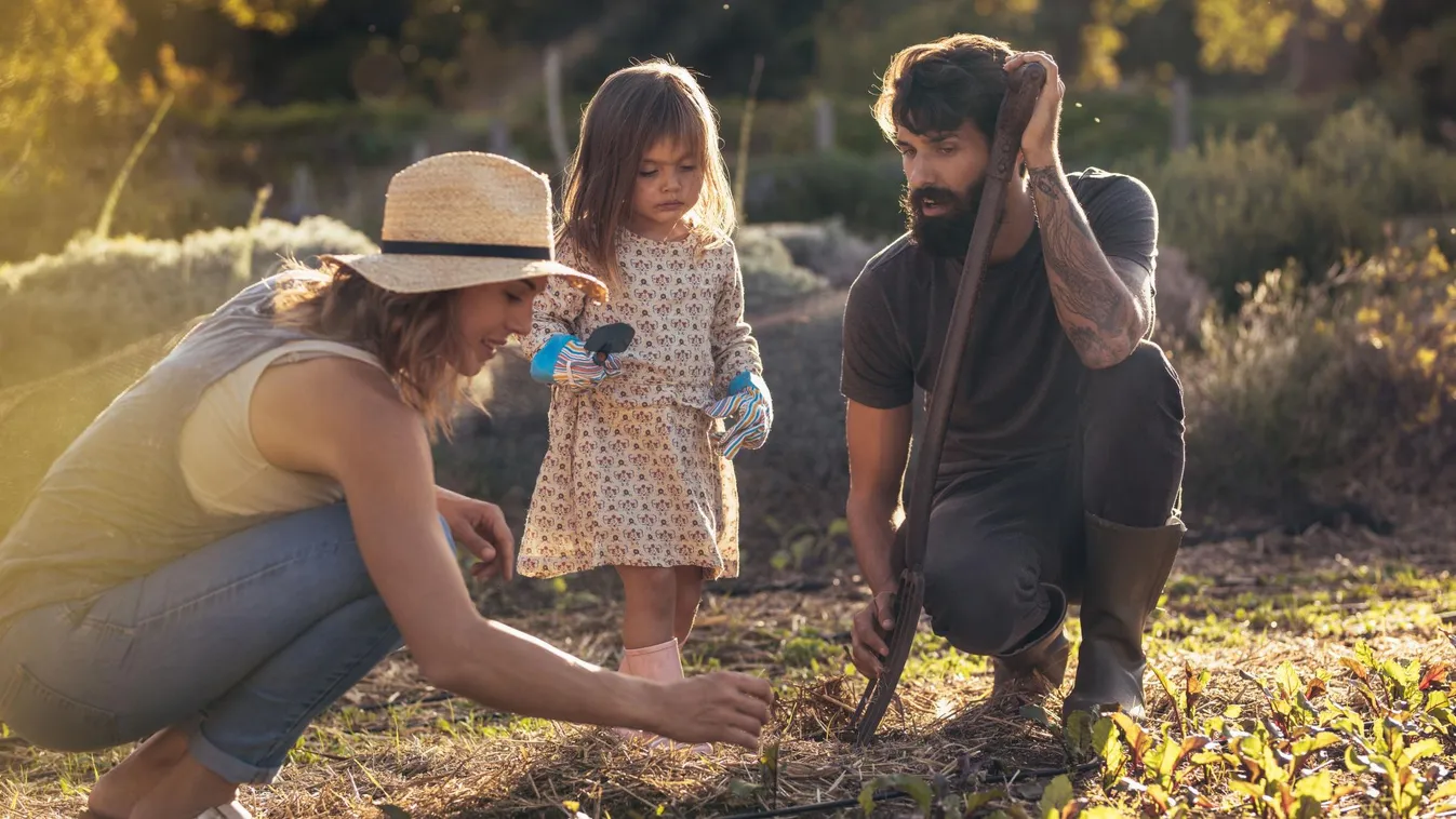3500 milliárd forint a magyar gazdák jövőjéért: indul a mezőgazdaság modernizációja