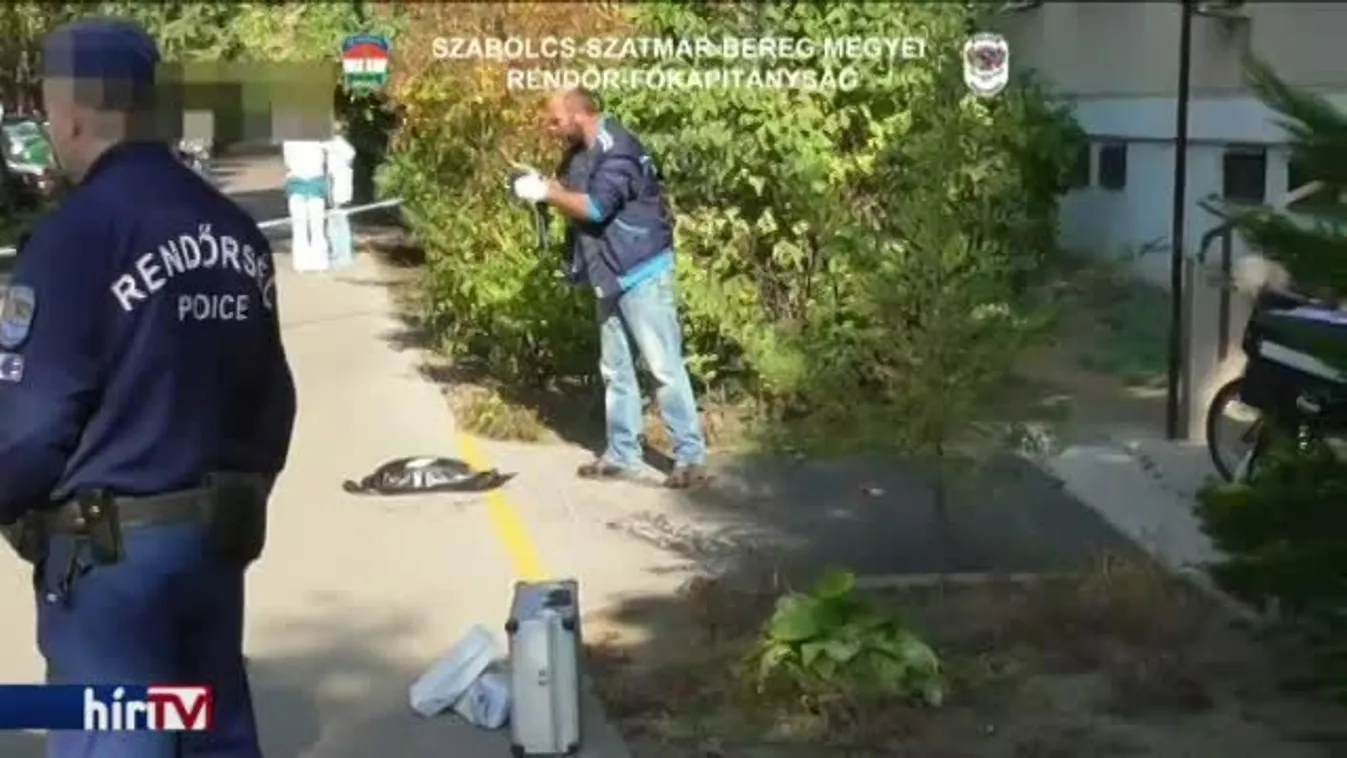 Hamar elkapták a postásra támadó férfit