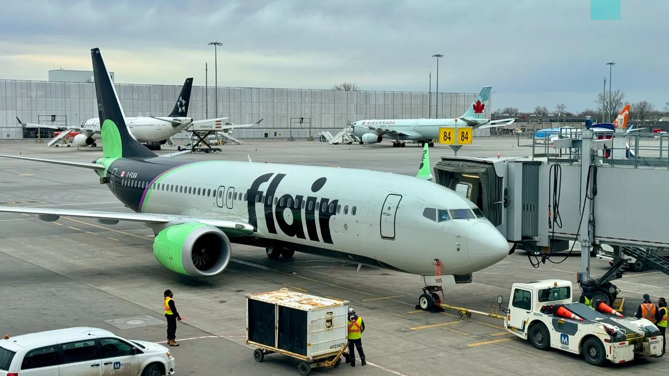 A NAV lecsapott egy Hollandiából érkező küldeményre