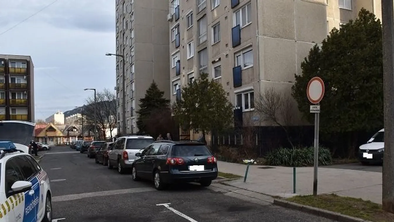 A földre lökve támadta meg áldozatait a tatabányai elkövető