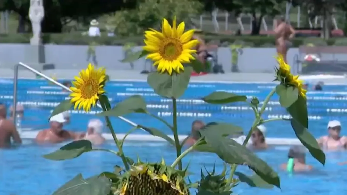 Péntekig hőségriadót rendelt el az országos tisztifőorvos az országban + videó