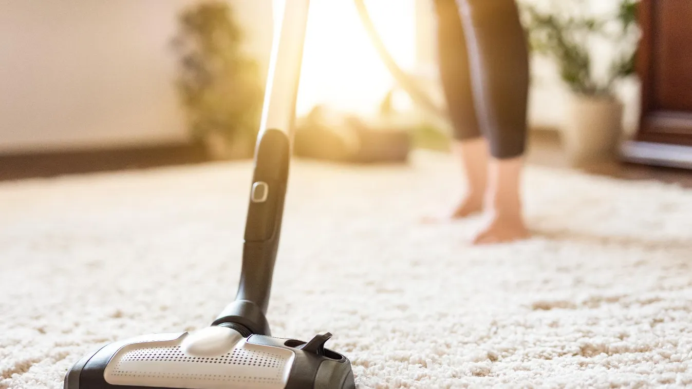 Környezetbarát és egészséges otthon egyre több európai országban