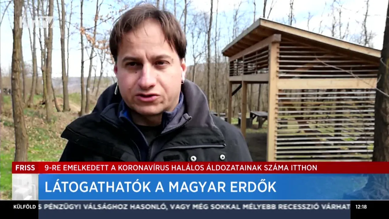 Látogathatók a magyar erdők