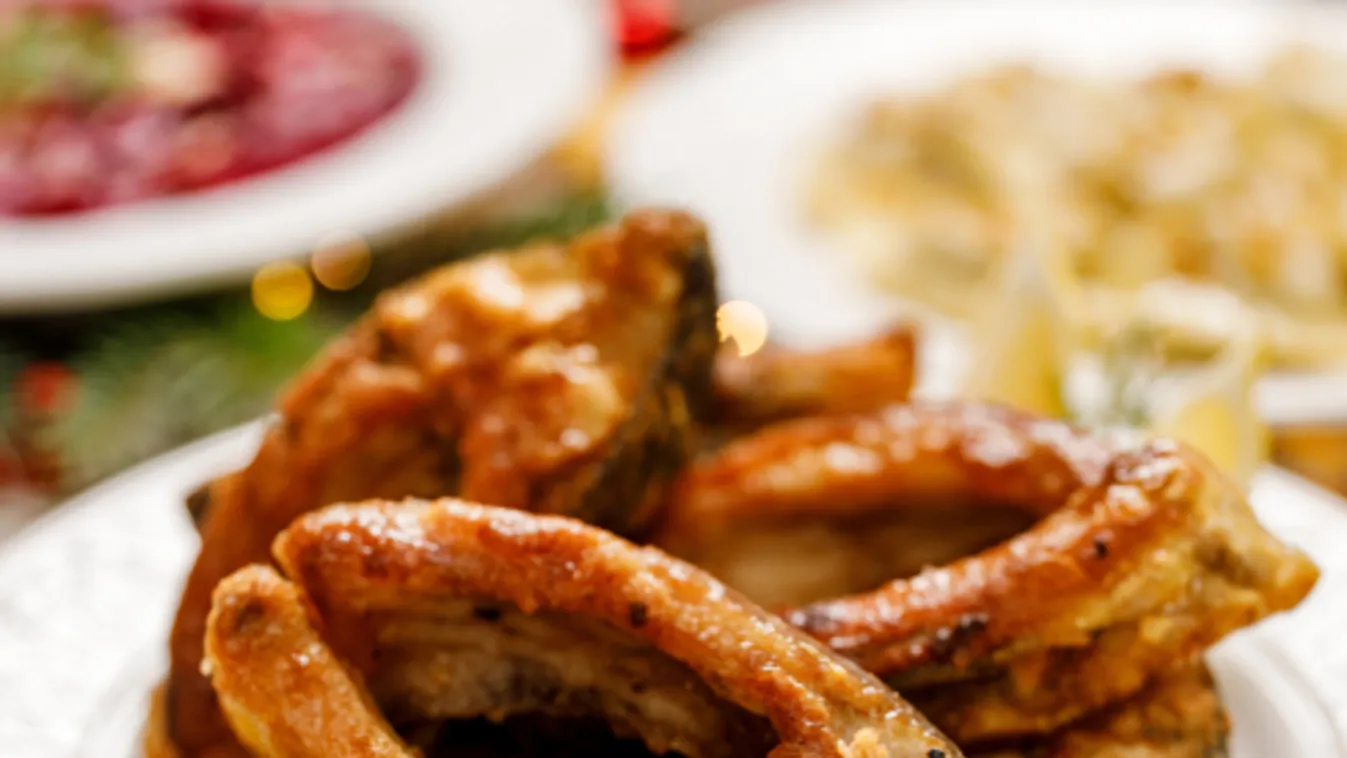 Öreg-tavi halászfesztivál Tatán