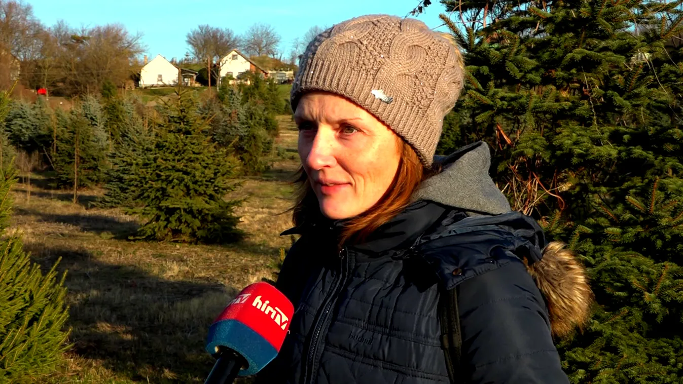 Radar - Szedd magad karácsonyfa