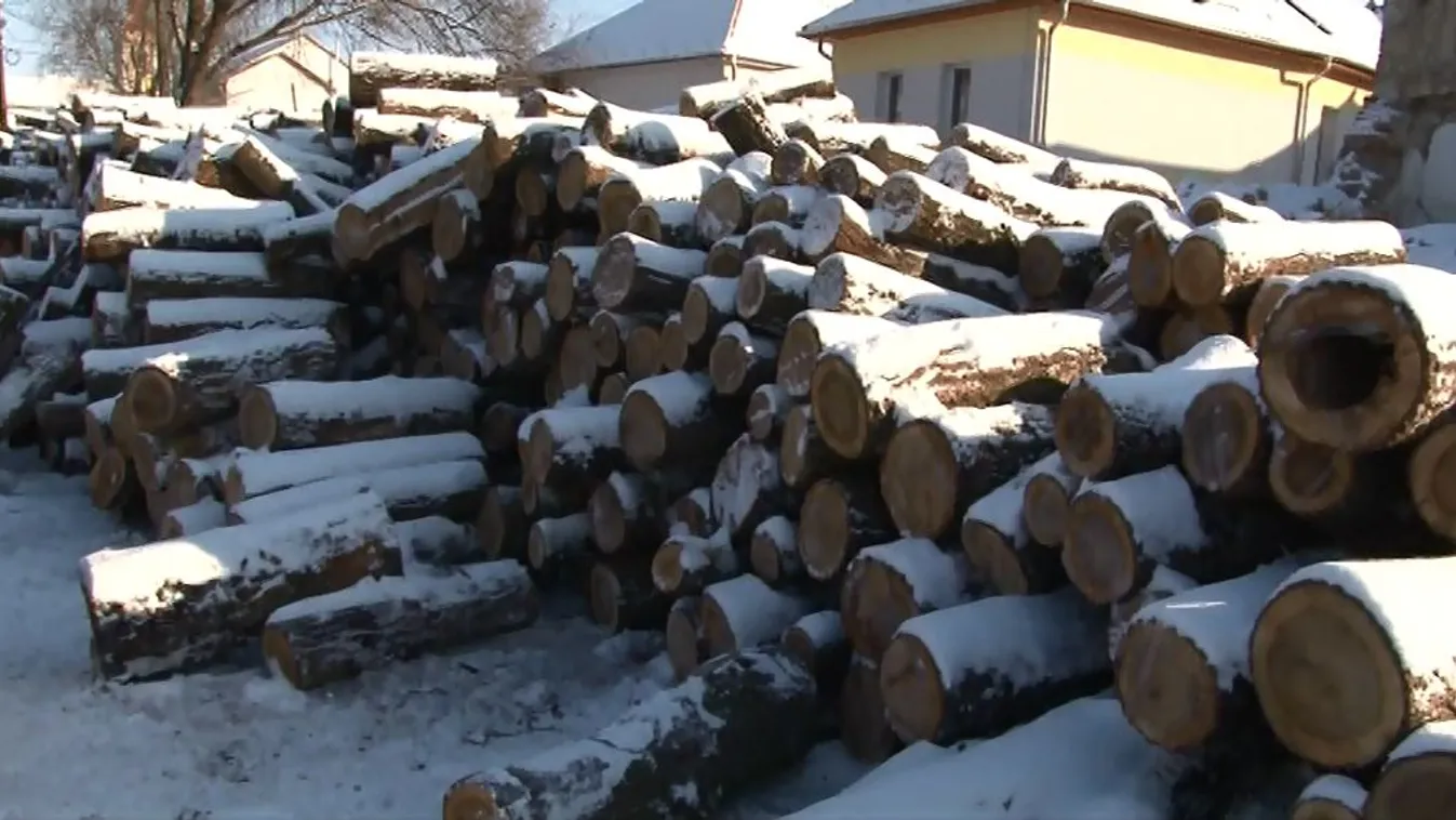 Egy-másfél hónapra elegendő tűzifát kapnak a rászorulók