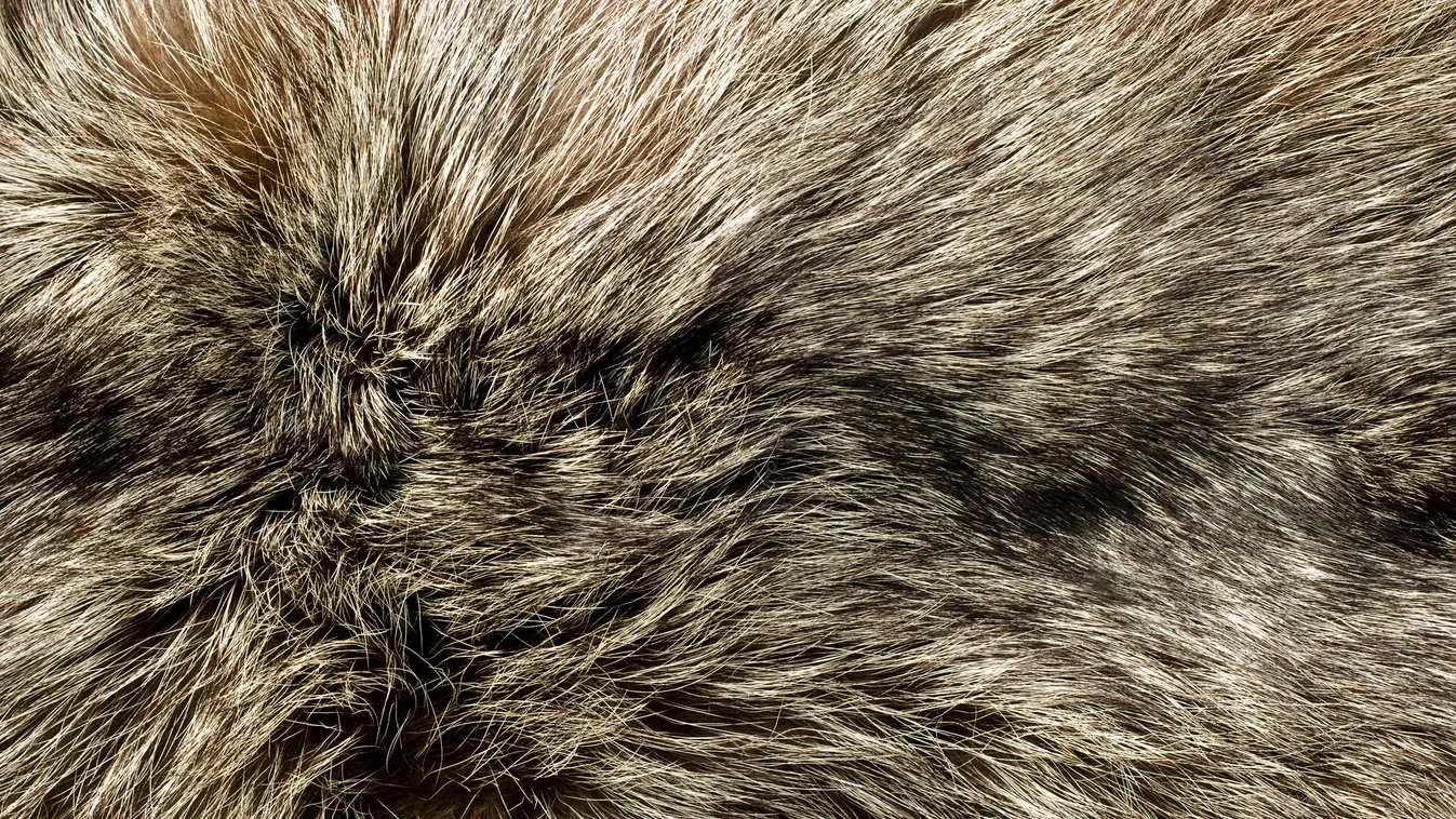 A Prada is száműzi kínálatából a szőrmét