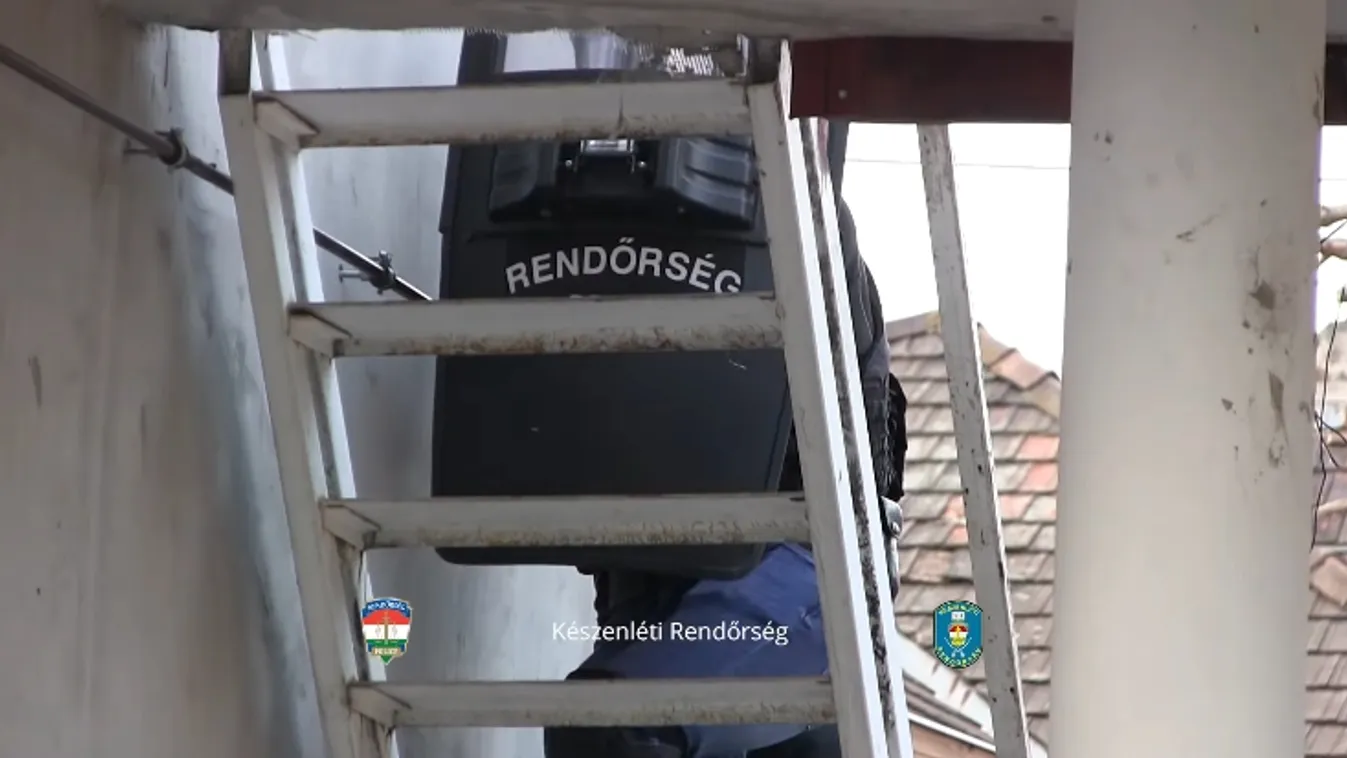 Orgazdahálózatra mért csapást a rendőrség