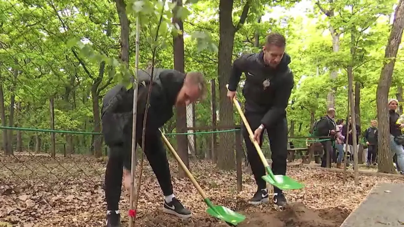 Radar – Fa- és cserjeültetésen vettek részt a Fradi focistái + videó