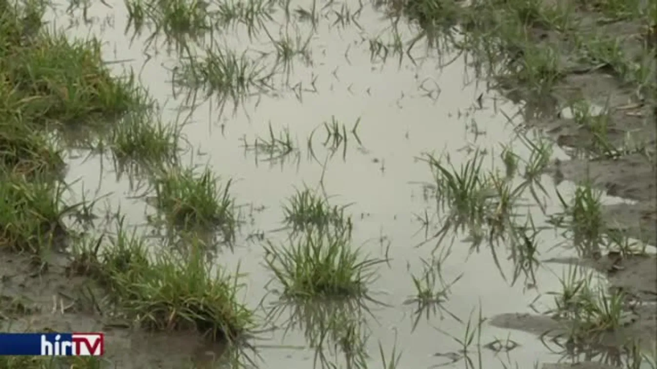 Fel nem fedezett értékek