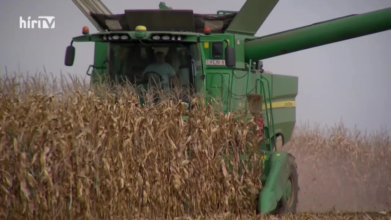 Soroló: Megalakult a kukoricakör