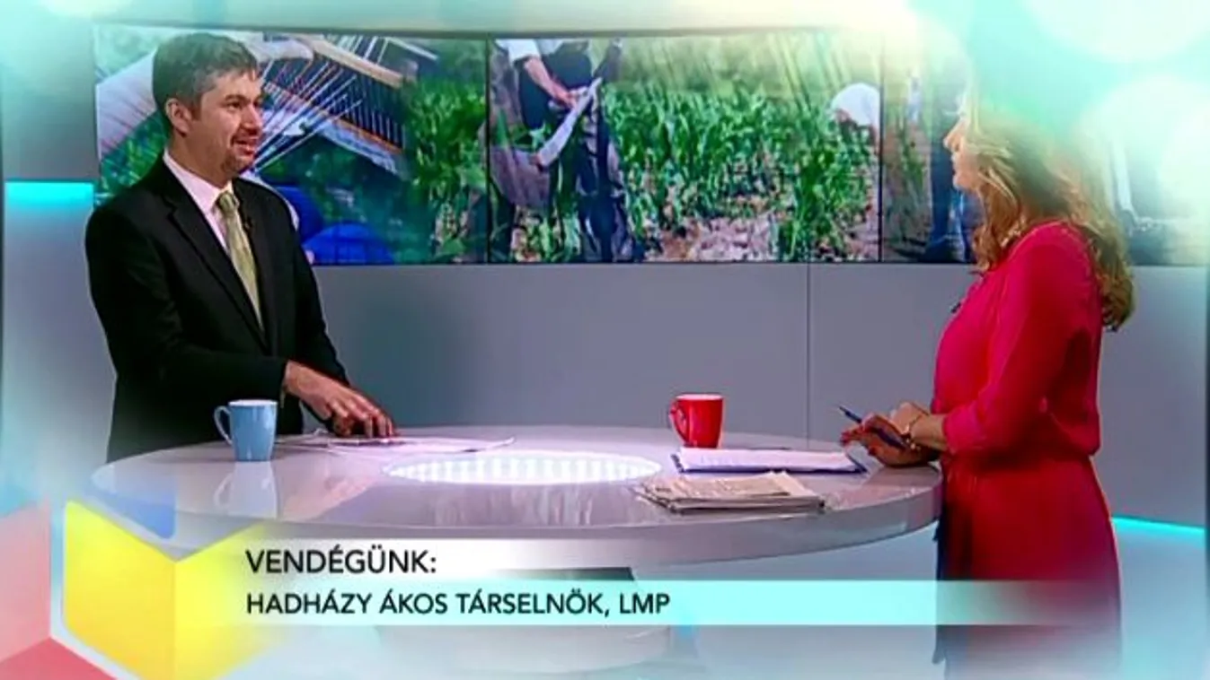 Zöldebb babérok? – Reggeli járat