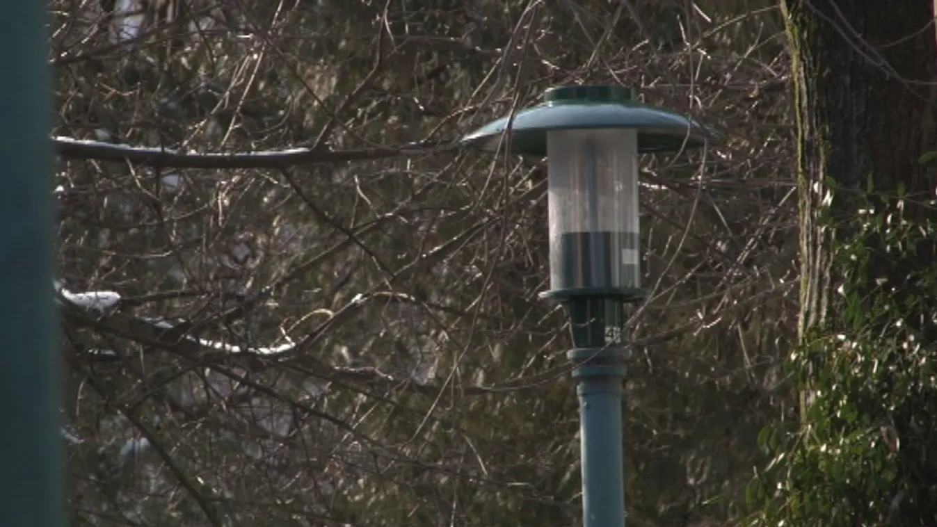 Tudták, hogy amit tesznek, az bűncselekmény a közvilágítási pályázatoknál