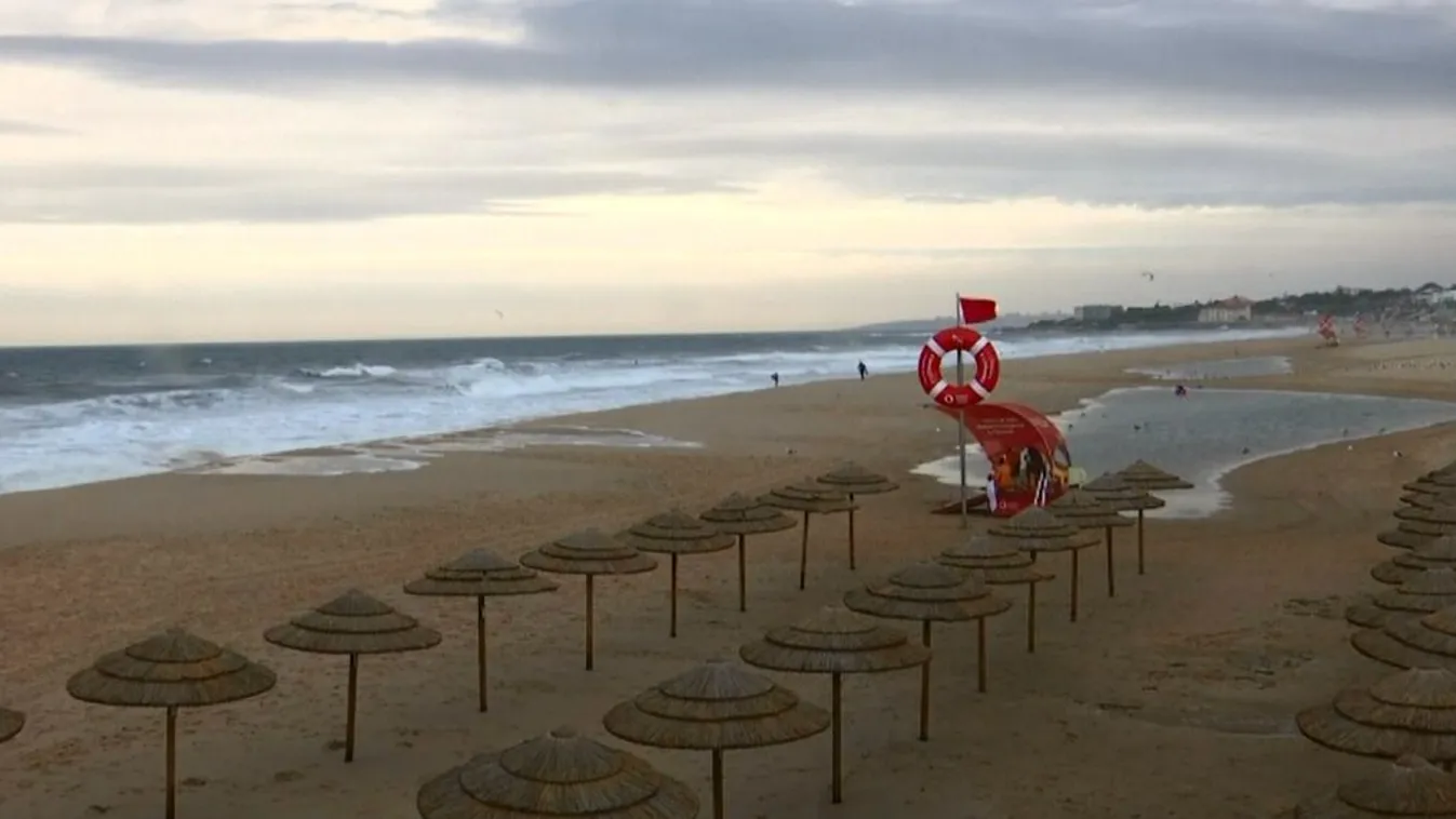 Leslie tombol a partokon