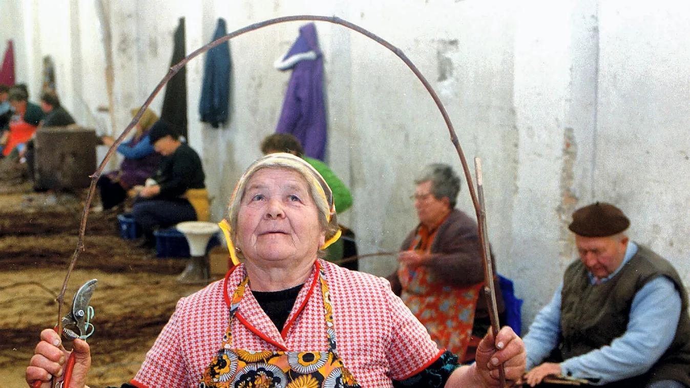 A CBA-kba terelnék a nyugdíjasokat