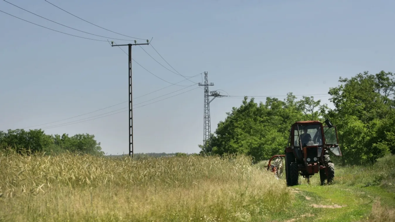 Árverés – Napról napra