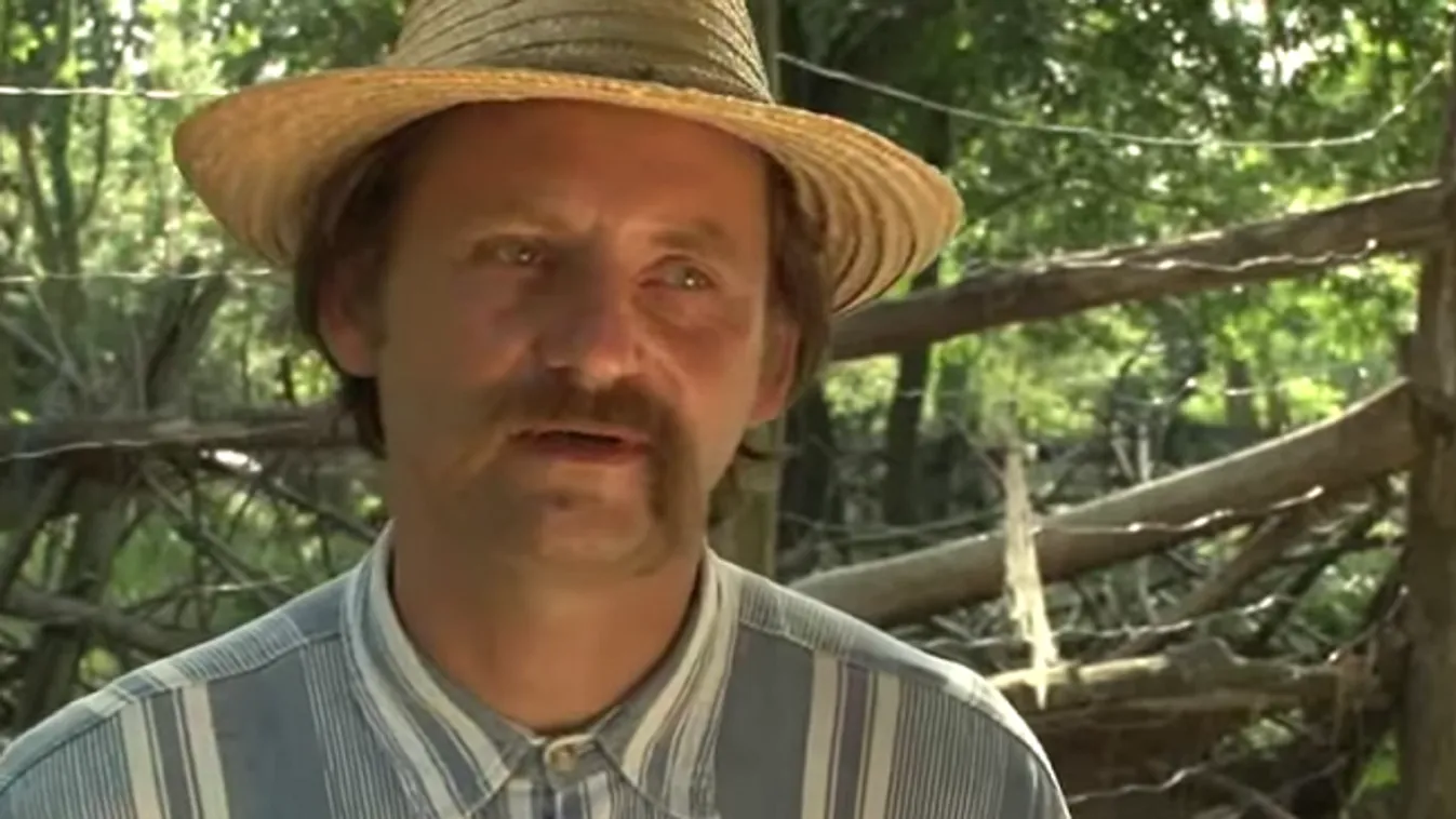 Bárka vagy fészek – Vetítő