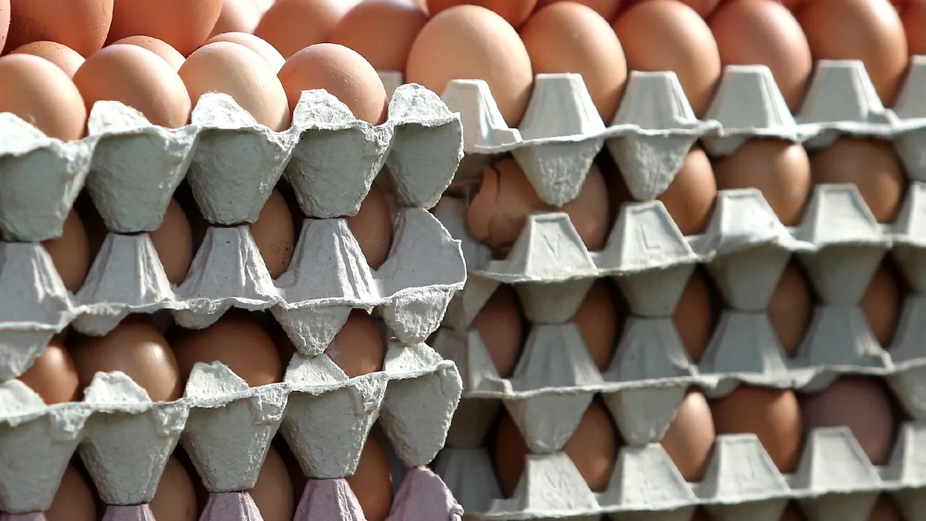 Mezőhéki a szennyezett tojás, ám az egyszeri vásárló ezt nem tudná kinyomozni
