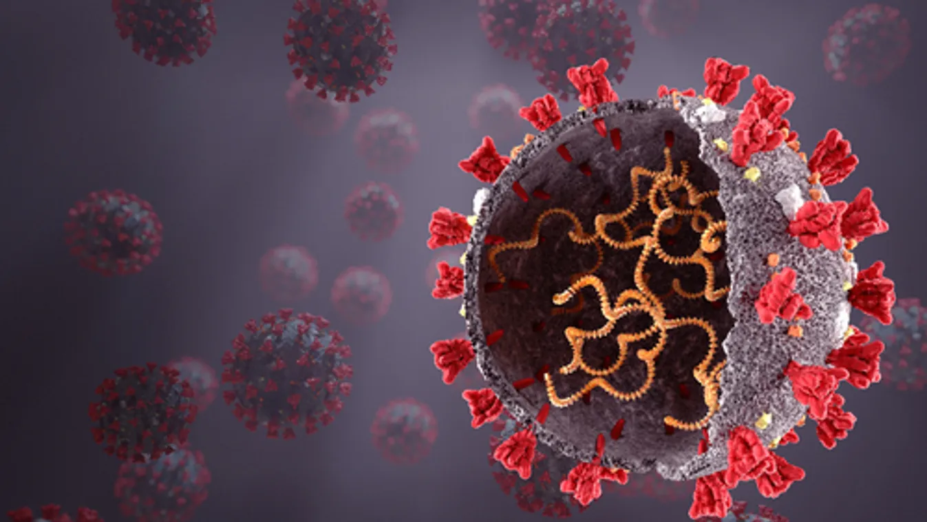 1 047 000 beoltott, 6 494 új fertőzött, 158 elhunyt beteg