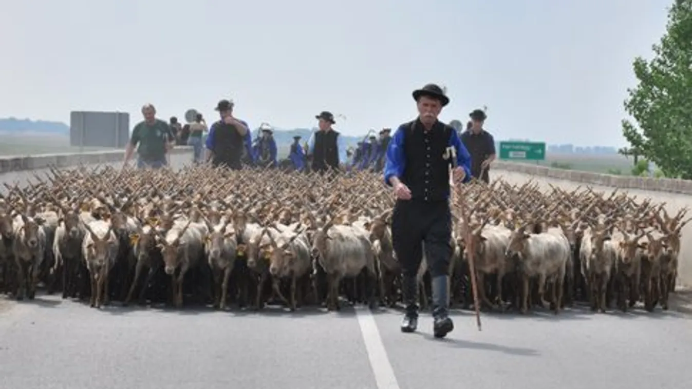 Szent György napja – Soroló