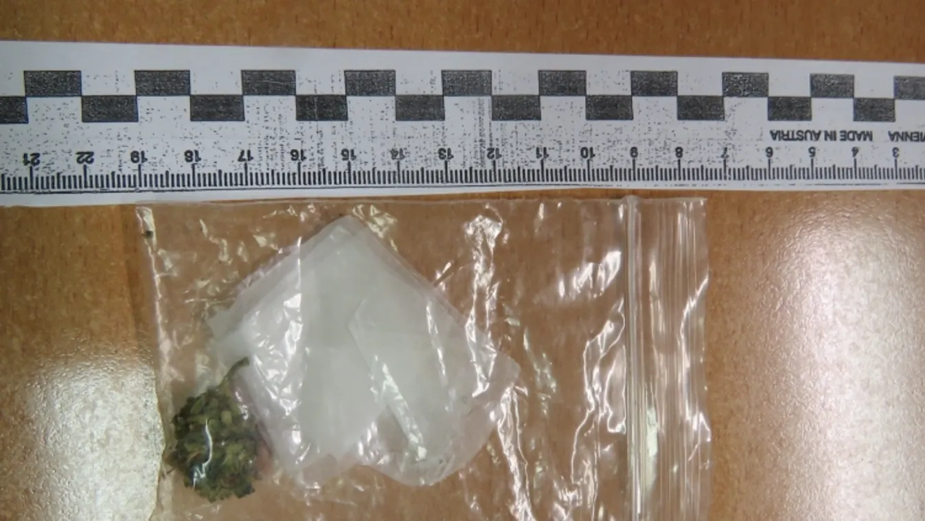 Rablás és kábítószer birtoklás miatt őrizetben