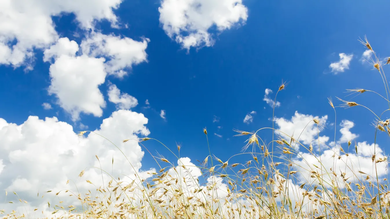 Tovább folytatódik a szép idő, nem tagadja meg magát a nyarunk