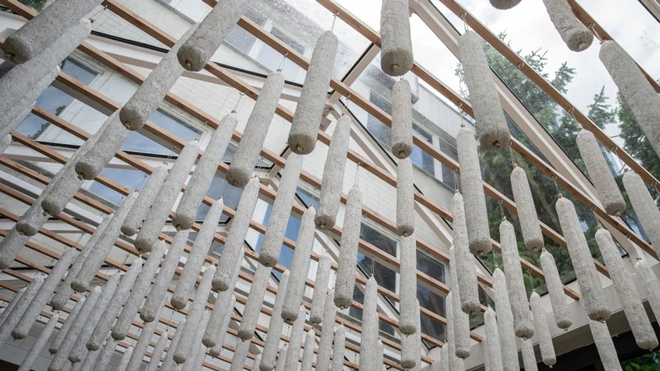 Jövőre kezdődhet el a Pick új gyártóüzemének építése Szegeden