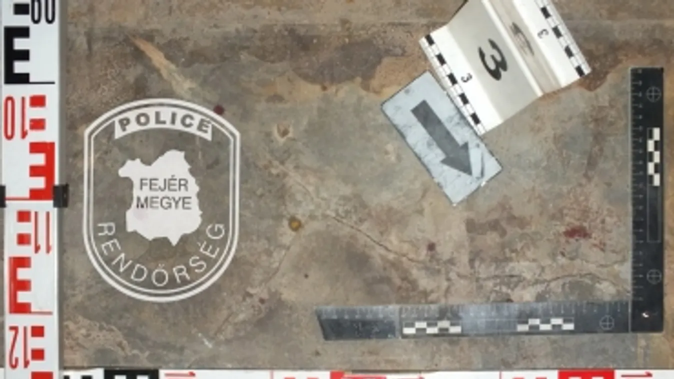 Emberölés bűntett kísérlete miatt őrizetben