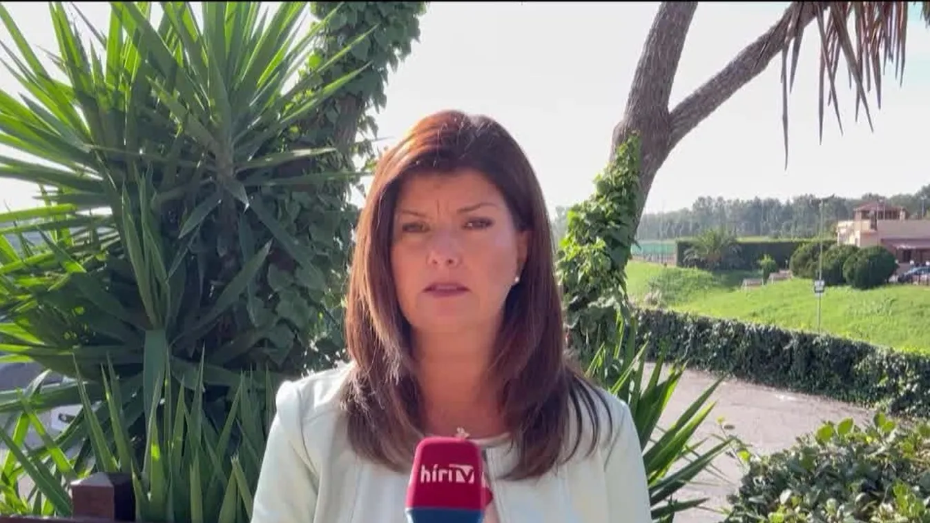 Megkéselt egy afrikai migráns egy kalauzt Olaszországban + videó