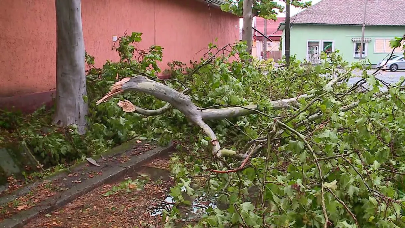 Több száz helyre riasztották a tűzoltókat a viharok miatt