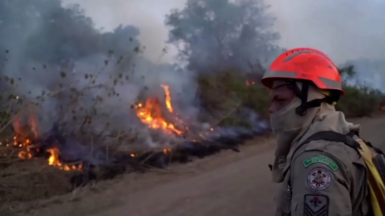 Már másfélmillió hektárnyi terület égett le a világ legnagyobb trópusi mocsárvilágában