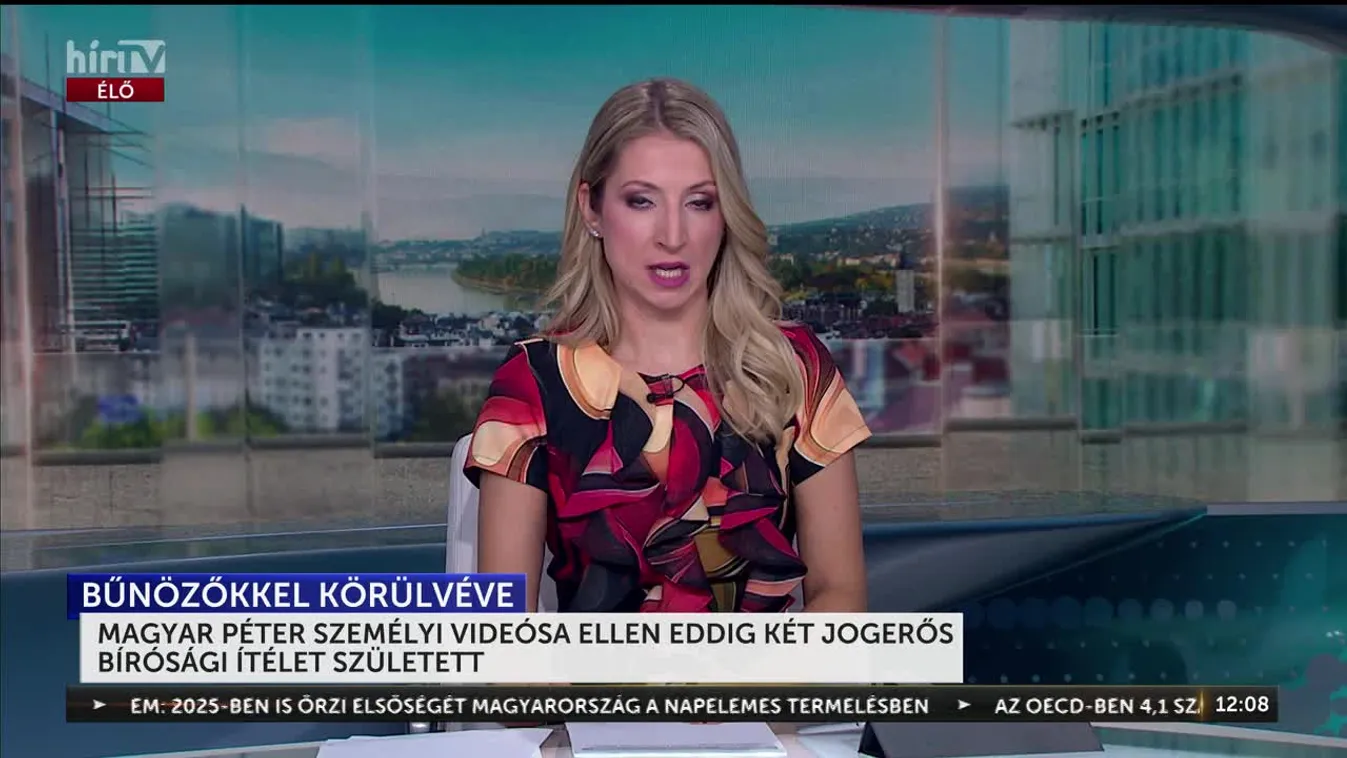 MAGYAR PÉTER SZEMÉLYI VIDEÓSA ELLEN EDDIG KÉT JOGERŐS BÍRÓSÁGI ÍTÉLET SZÜLETETT