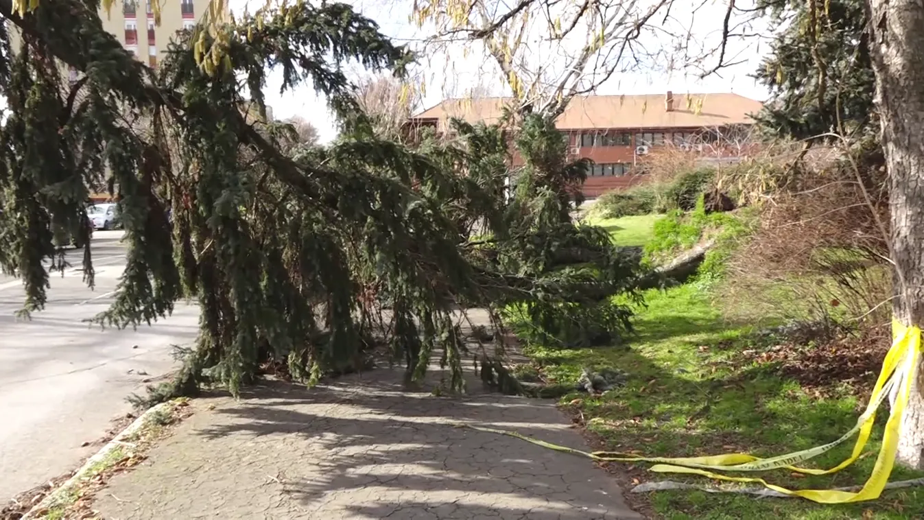 4800 segélyhívás, 2700 beavatkozás, 438 épületkár a hétvégi szélvihar miatt