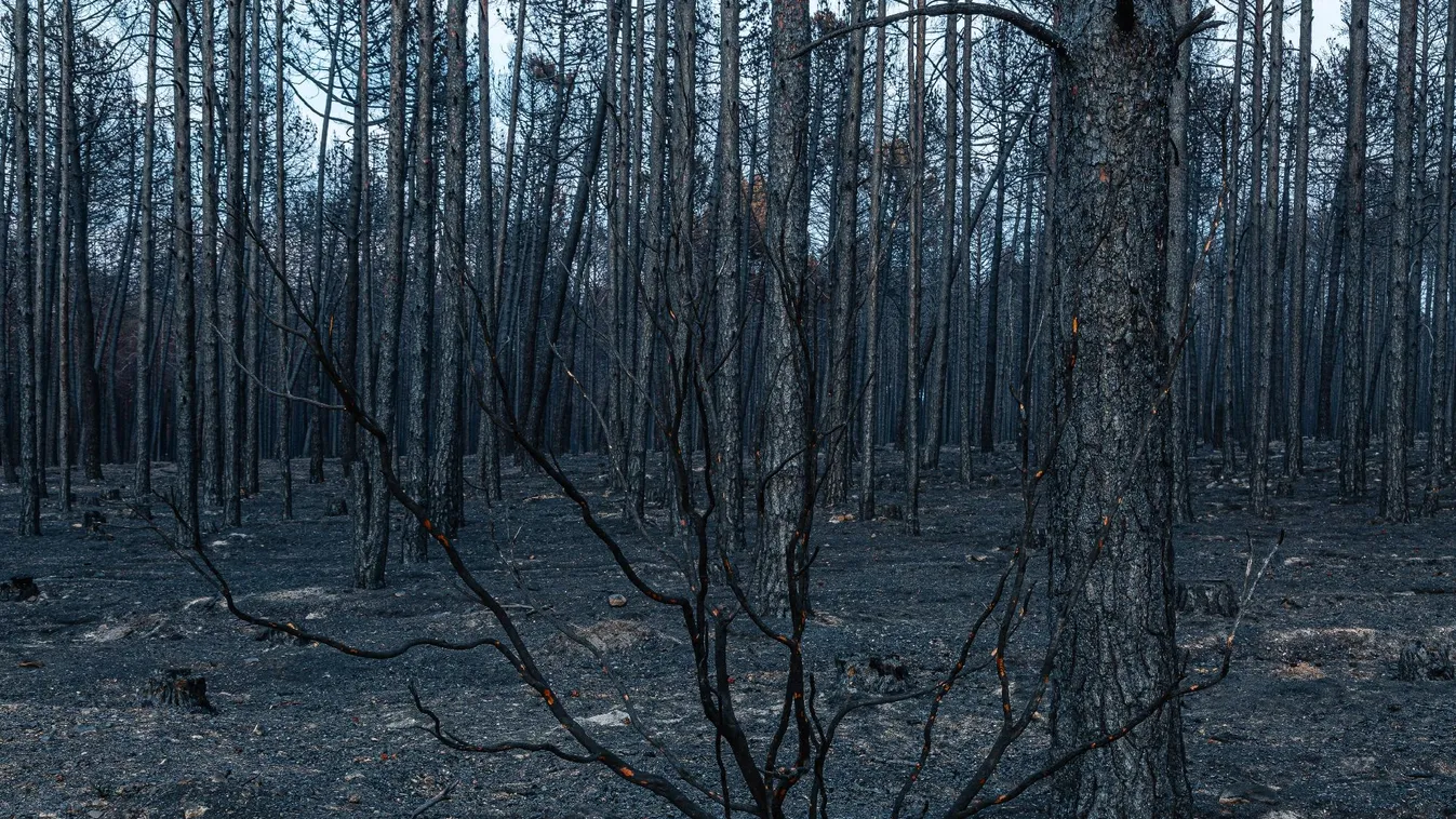 Megfékezték a Spanyolország északi részén pusztító erdőtüzeket