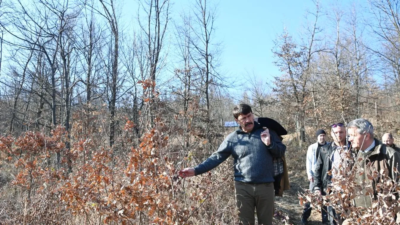 Áder János: Dicséret illeti az erdészek munkáját