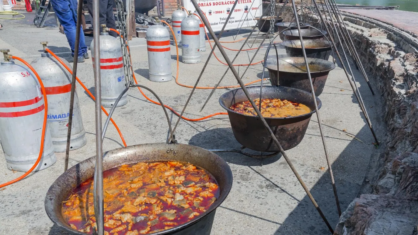 Ismét Nemzetközi Tisza Halfesztivált rendeznek Szegeden