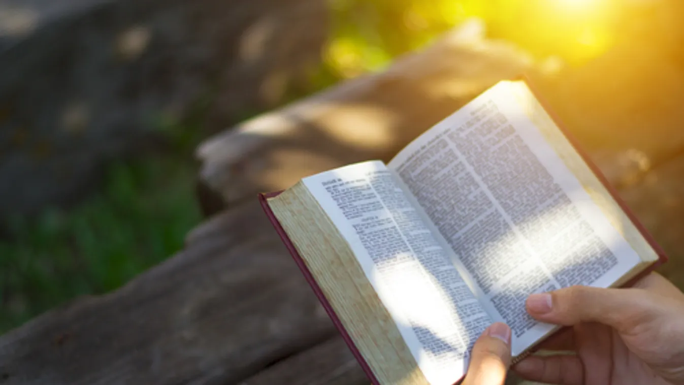 Már 704 nyelvre lefordították a Bibliát