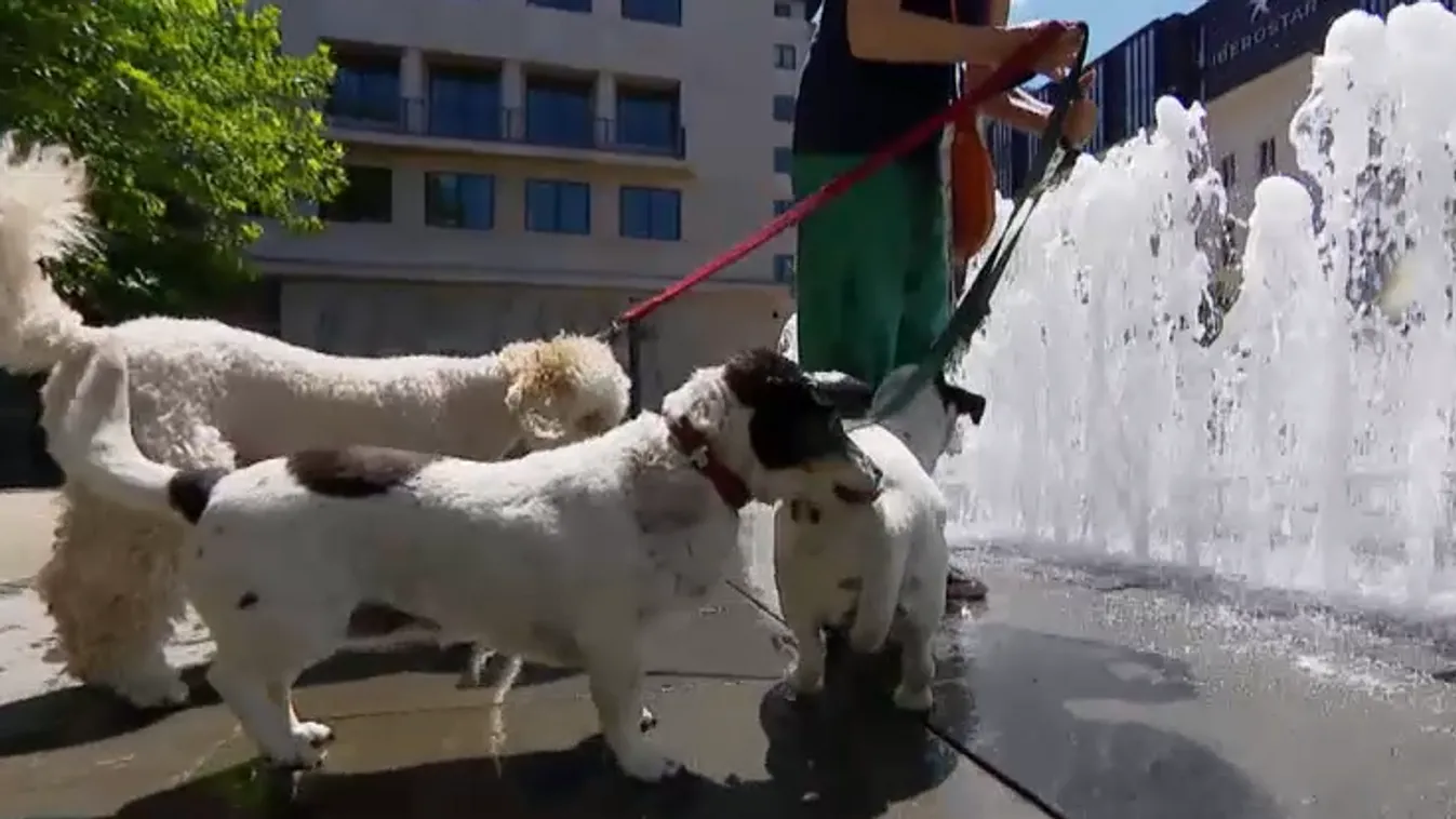 Hőségriasztás: akár 37 fokos kánikula is lehet szerdán