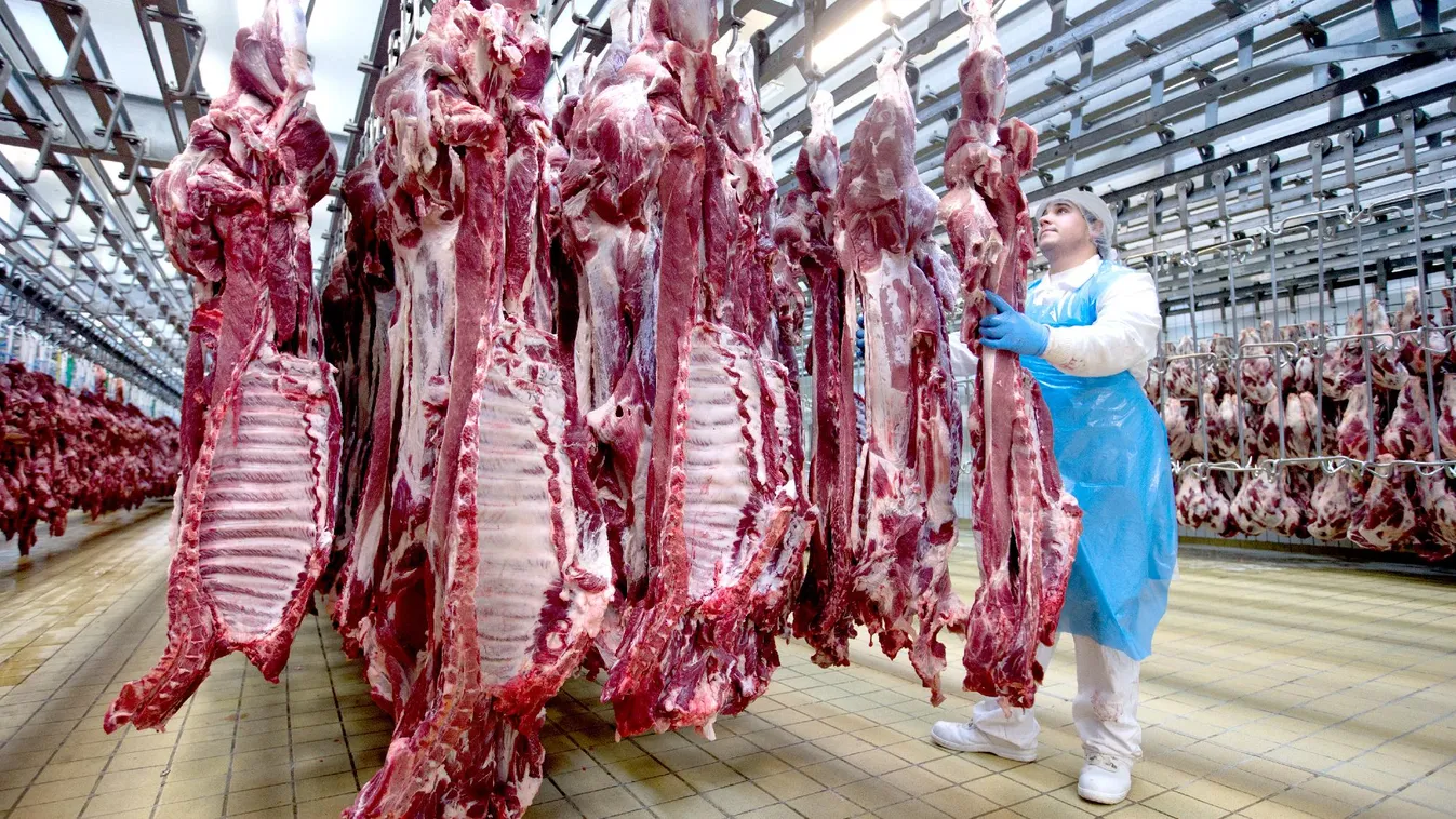 Csányi Sándor cégei biztos jól járnak az egyezménnyel