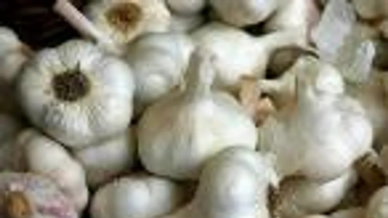 Egyre kevesebben termelnek fokhagymát