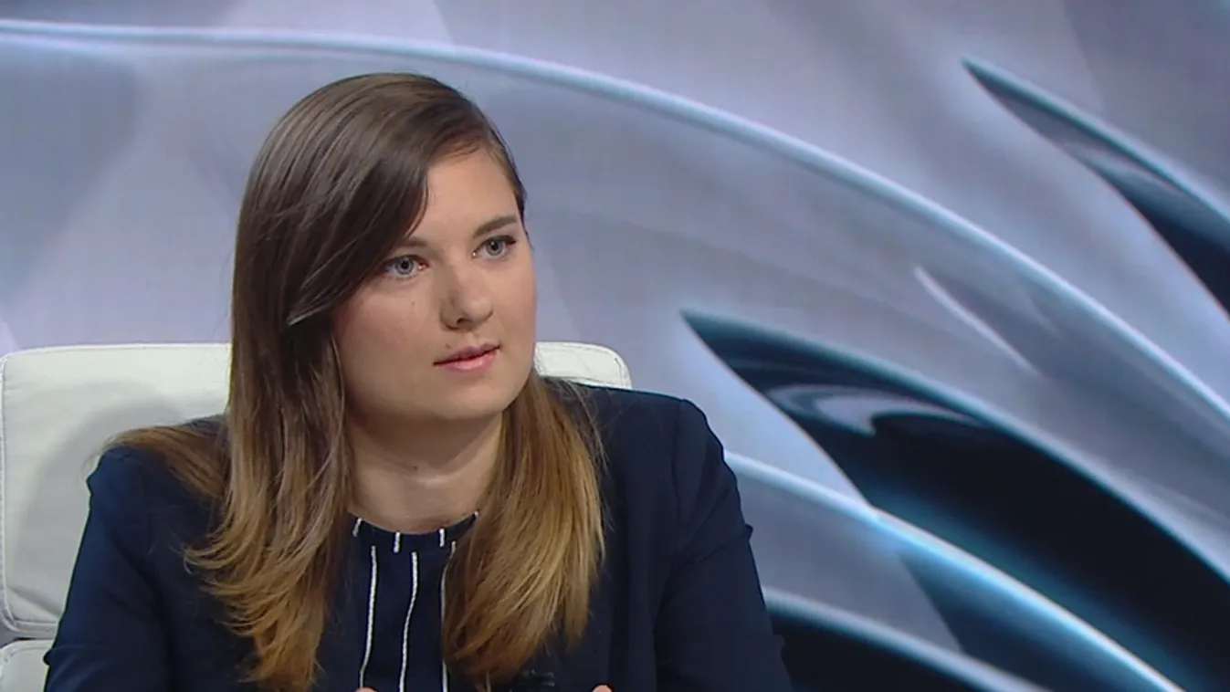 Milyen törvényt és jogszabályt sért a döntés?